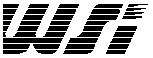 Waferscale Integration (WSI)